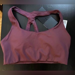 Arc’teryx Bra, Size 6